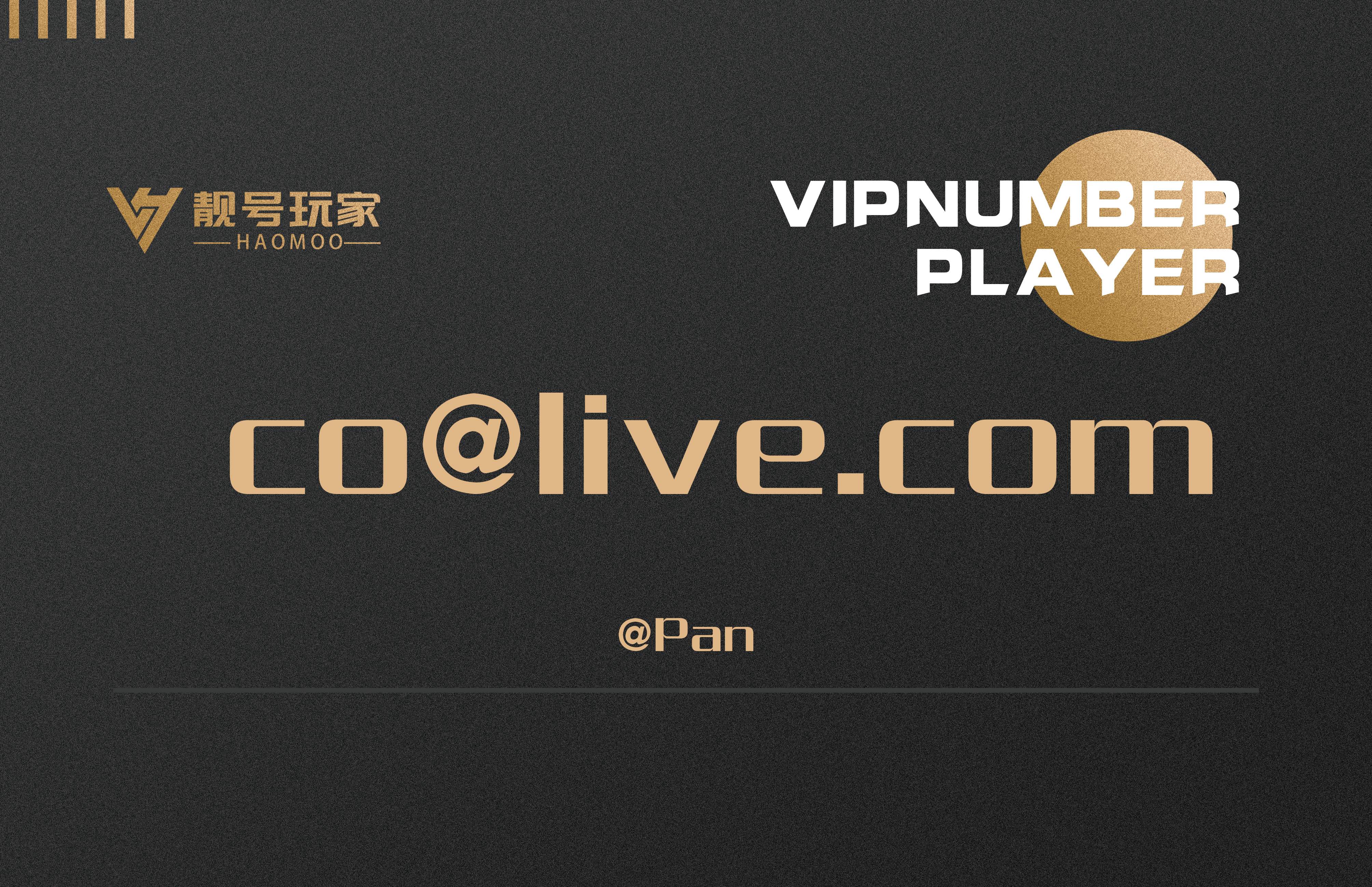 Co@Pan大佬